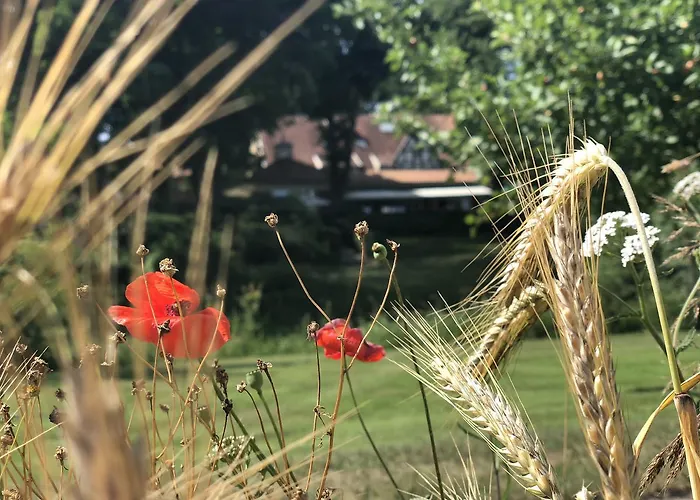 Eggert Ξενοδοχείο Μούνστερ