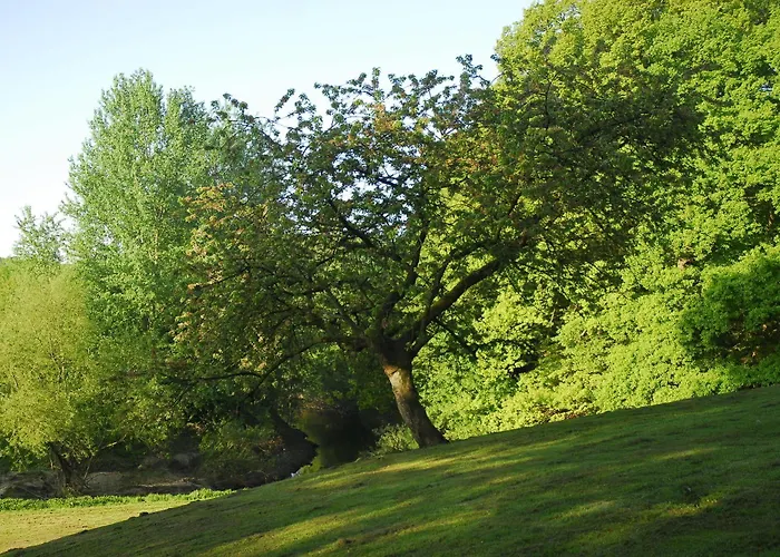 Eggert Hotel Munster (North Rhine-Westphalia)